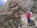 Nepal February March 2007 255